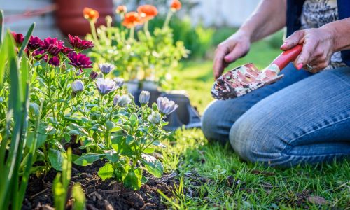 9annuals landscapers Depot Kingston NH 3