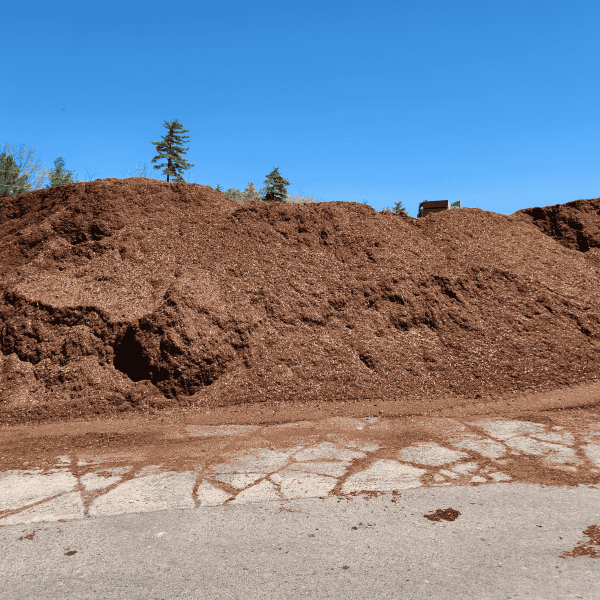 Pine Blend Mulch