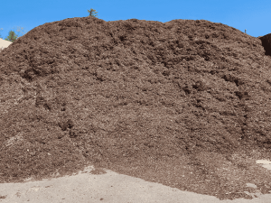 Aged Hemlock Mulch
